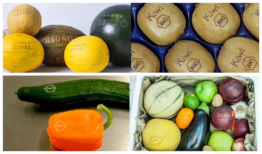 Laser Coding Machine for Food Packaging.png