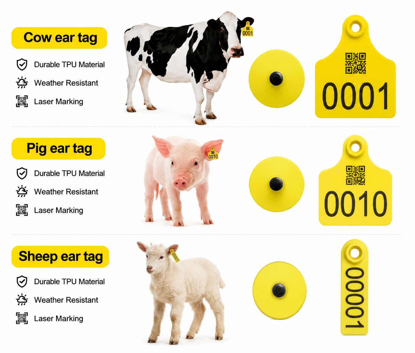 pet-tag-marking-machine.png